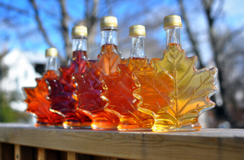 Maple Syrup: 10 Interesting Facts