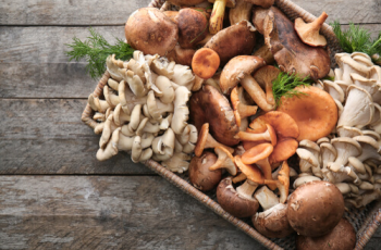Mushrooms have many health benefits that you may not know about.